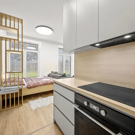 아파트 1 With Garden, Nalepkova 1390 *